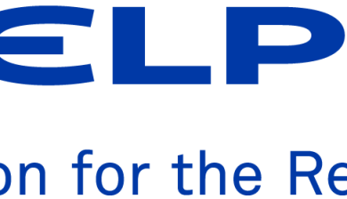 Delphi company logo